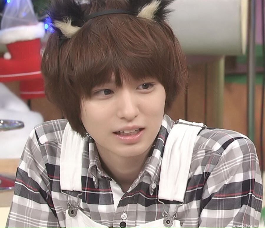 伊野尾慧といえば猫 Twitter Search