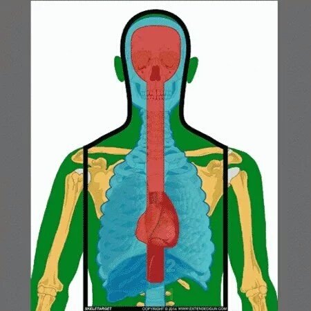 Michael1OHara's tweet photo. Super targets for range competition!
@ExtendedGun | #Skeletargets | #2A https://t.co/LC9doslNSi