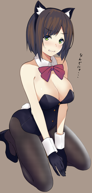 猫の日にバニー。猫耳は必須。みくにゃんおめ。 