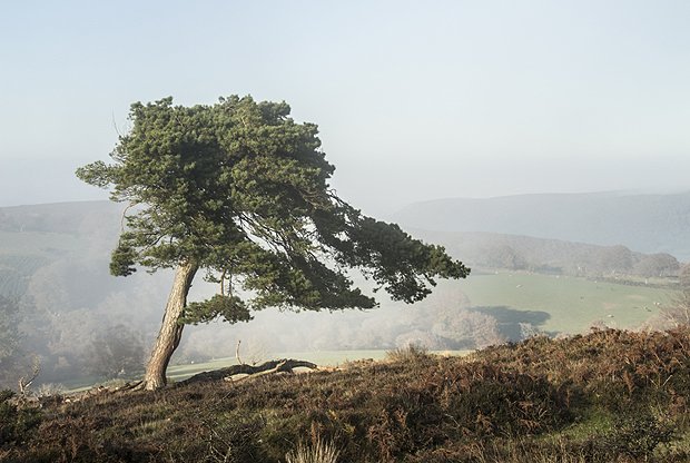 WMNPictures's tweet photo. A windswept #Exmoor is today's #WMNView. Picture by Patricia Malek. More great views here https://t.co/zebLDQeyMH https://t.co/L4cCXlEiGE