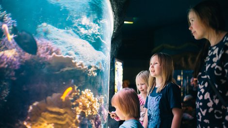 The <a href="/VisitHelsinki/">Visit Helsinki</a> site has some great tips for families with kids visiting the capital: visithelsinki.fi/en/whats-on/fo…