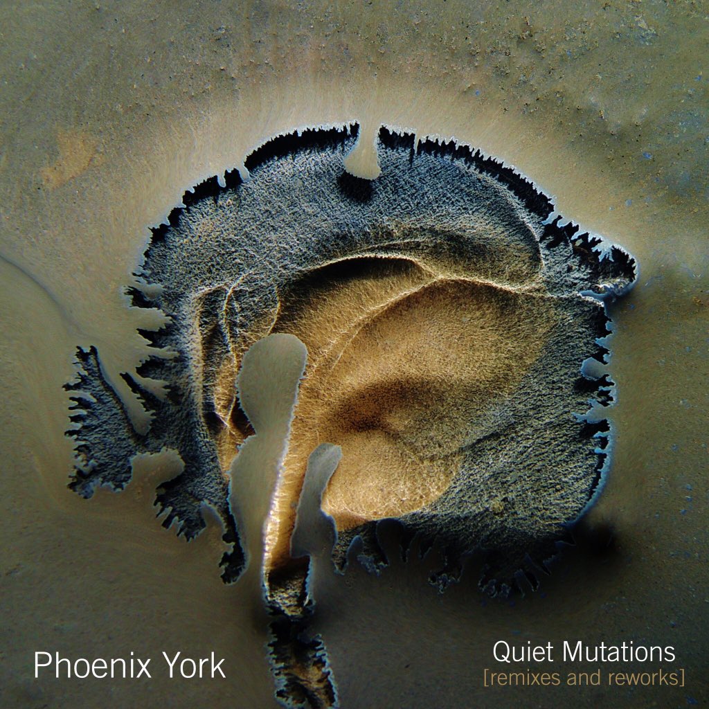 vvsimusic's tweet photo. @Phoenix_York releases Quiet Mutations: loving reworks of his debut! Hear here:
https://t.co/tFVVdxCADP https://t.co/qJJCxkvKN8