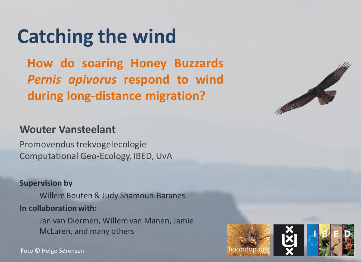 WMGVs's tweet photo. #BOU2015 talking posters online @IBIS_journal! Learn about wind &amp; #soaring #migration here:https://t.co/33e2gkPkpN https://t.co/wIV4GkYlch