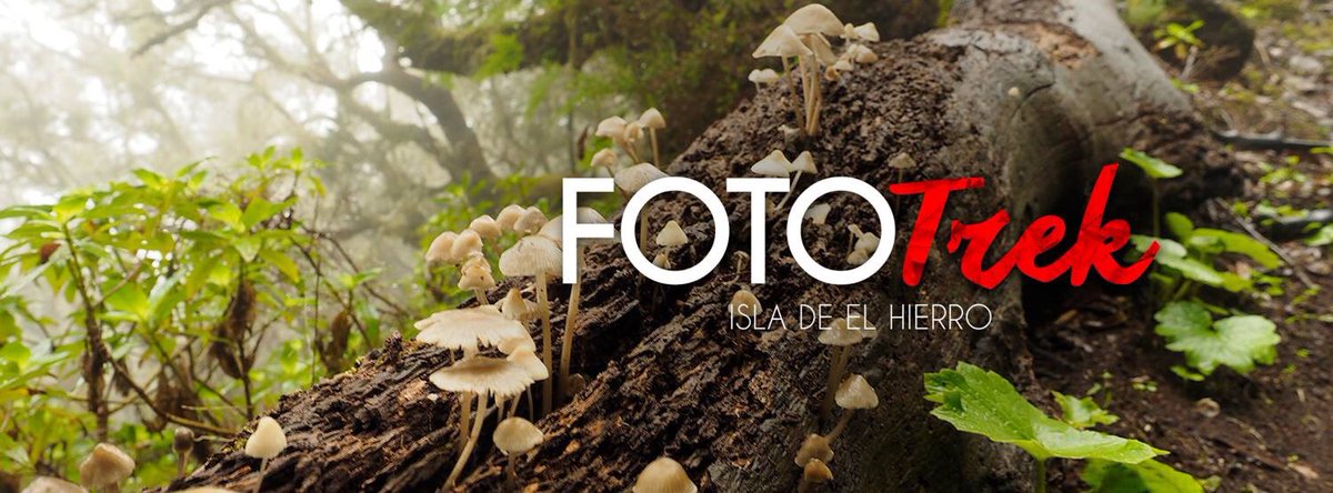 Regresa #Fototrek #ElHierro, un evento único en Canarias que fusiona senderismo y fotografía goo.gl/OU5gkn