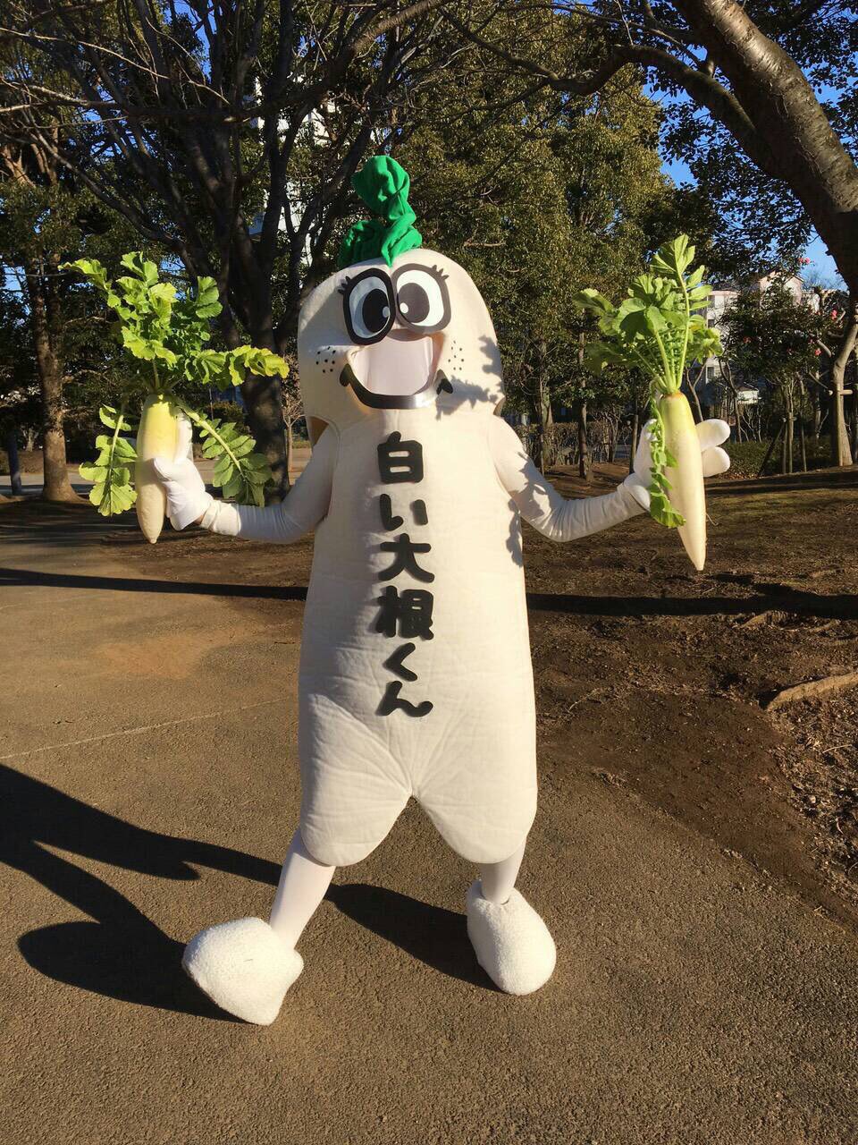 しろい地底王国忍者じねんじゃー Twitter પર 白井市にニューキャラクター出現 その名も 白い大根くん じねんじゃー危うし T Co Gb3i63dknk