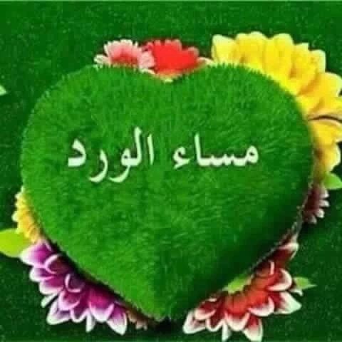 free4005's tweet photo. @abrar56561 https://t.co/cIHxugAkHS