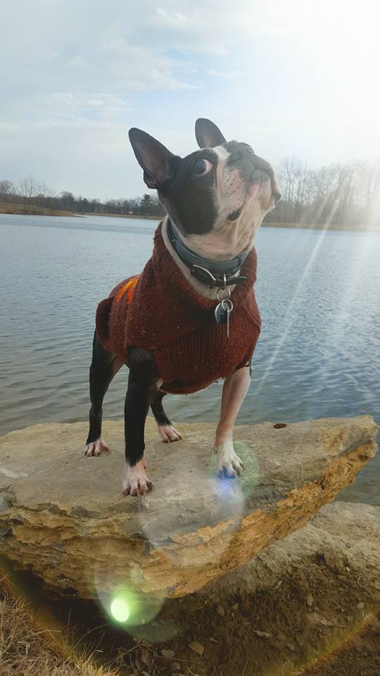 Beans is so majestic