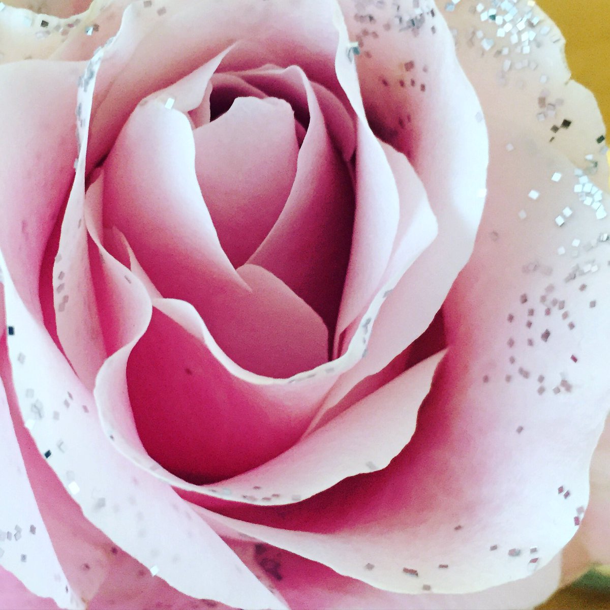 NJOY@WORK! Wil je ook eens wat anders? Let me know. #stylist #nietstandaard #styling #work #b2b