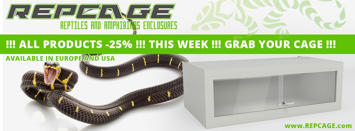 repcage_ltd's tweet photo. Check our full offer: https://t.co/T9r7RxIqtM
Now all products -25%!!! 
Sizes from 40x40x50 up to 250x100x100 !!! https://t.co/qI30K6omSE