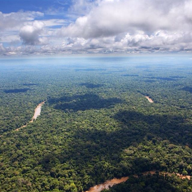 AfsarTamannaah's tweet photo. We thrilled to share with u photos from a new &amp; stunning presentation on this vital natural wonder
#ExploreTheAmazon https://t.co/wEKKF84Gk0