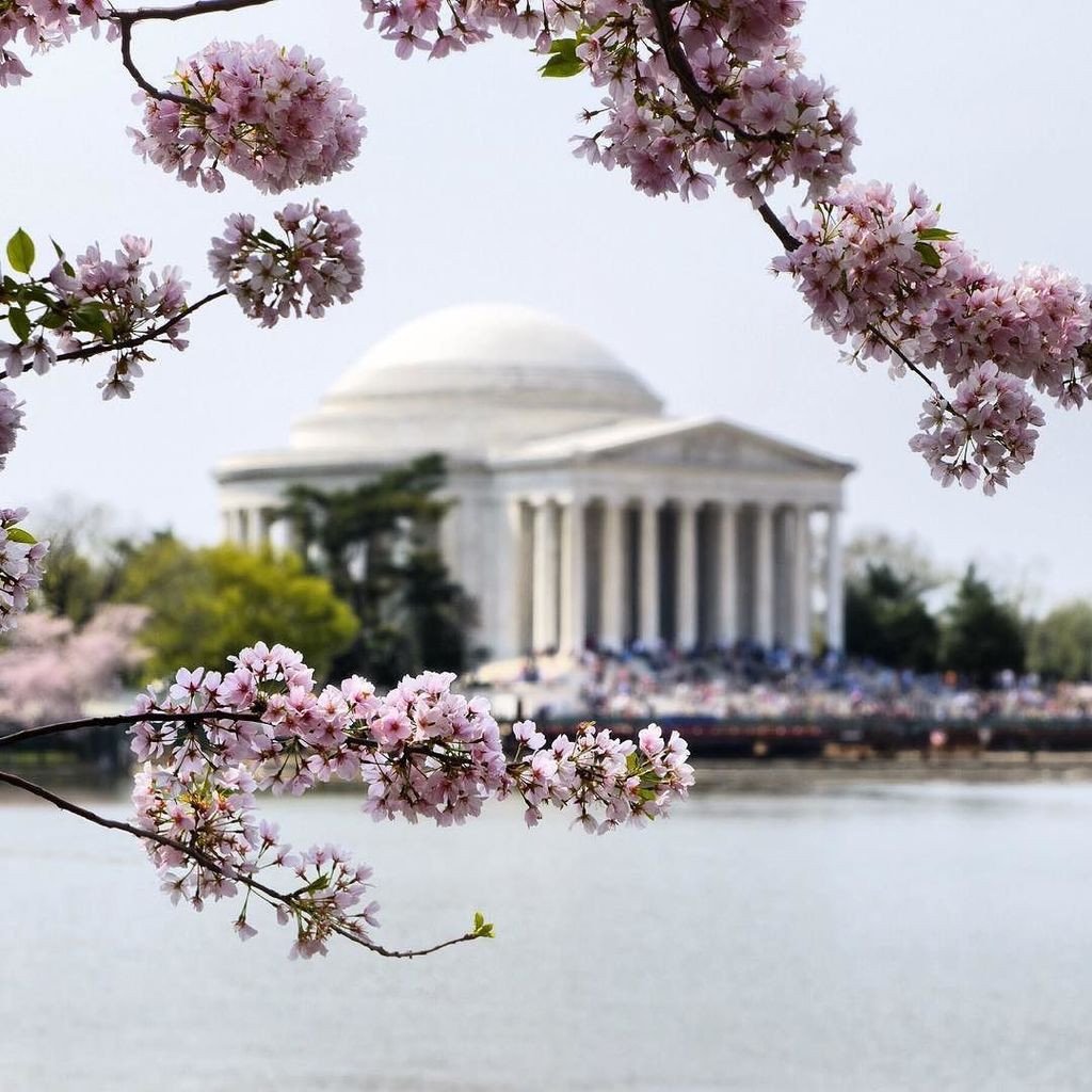 EmbassyDCMetro's tweet photo. If you're over this whole winter thing, let's start thinking about spring! Check out our Cherry Blossom Hotel Packa… https://t.co/et5kIiFzW9