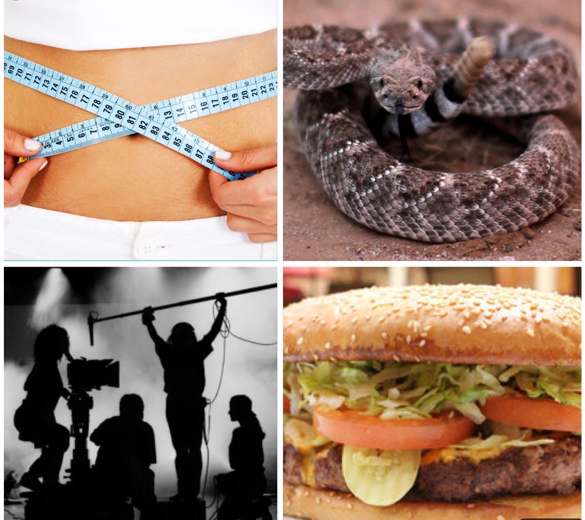 SandyFriends_AZ's tweet photo. Snakes @PhoenixHerp, filmmaking in AZ @RandyMurrayRMP, burgers @chompiesaz &amp; #bodycontouring 2day 8am.  Great show! https://t.co/RUq1CkHbru