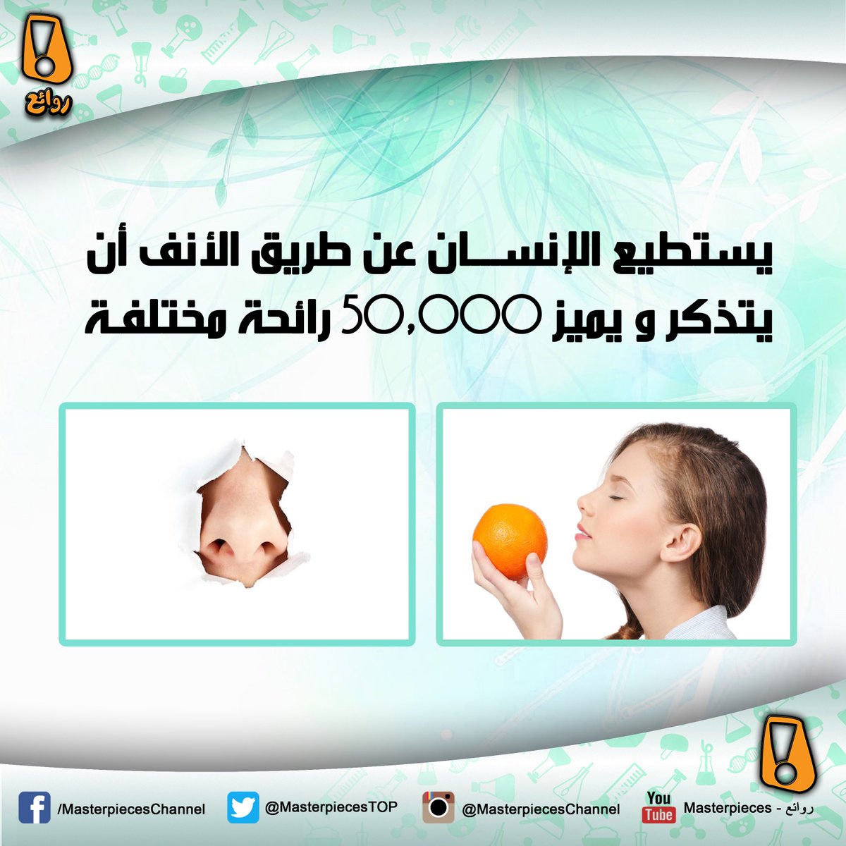 MasterpiecesTOP's tweet photo. #روائع #Masterpieces
#ذاكرة #الأنف #nose #memory https://t.co/cXtMlkPPuz