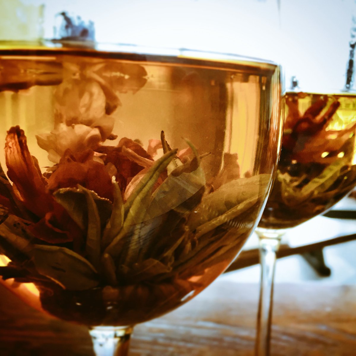 Stokesy_105's tweet photo. Before and after... Beautiful and delicious! #floweringtea #jingtea #dormyhouse #experimenting https://t.co/0EykhKNKHa