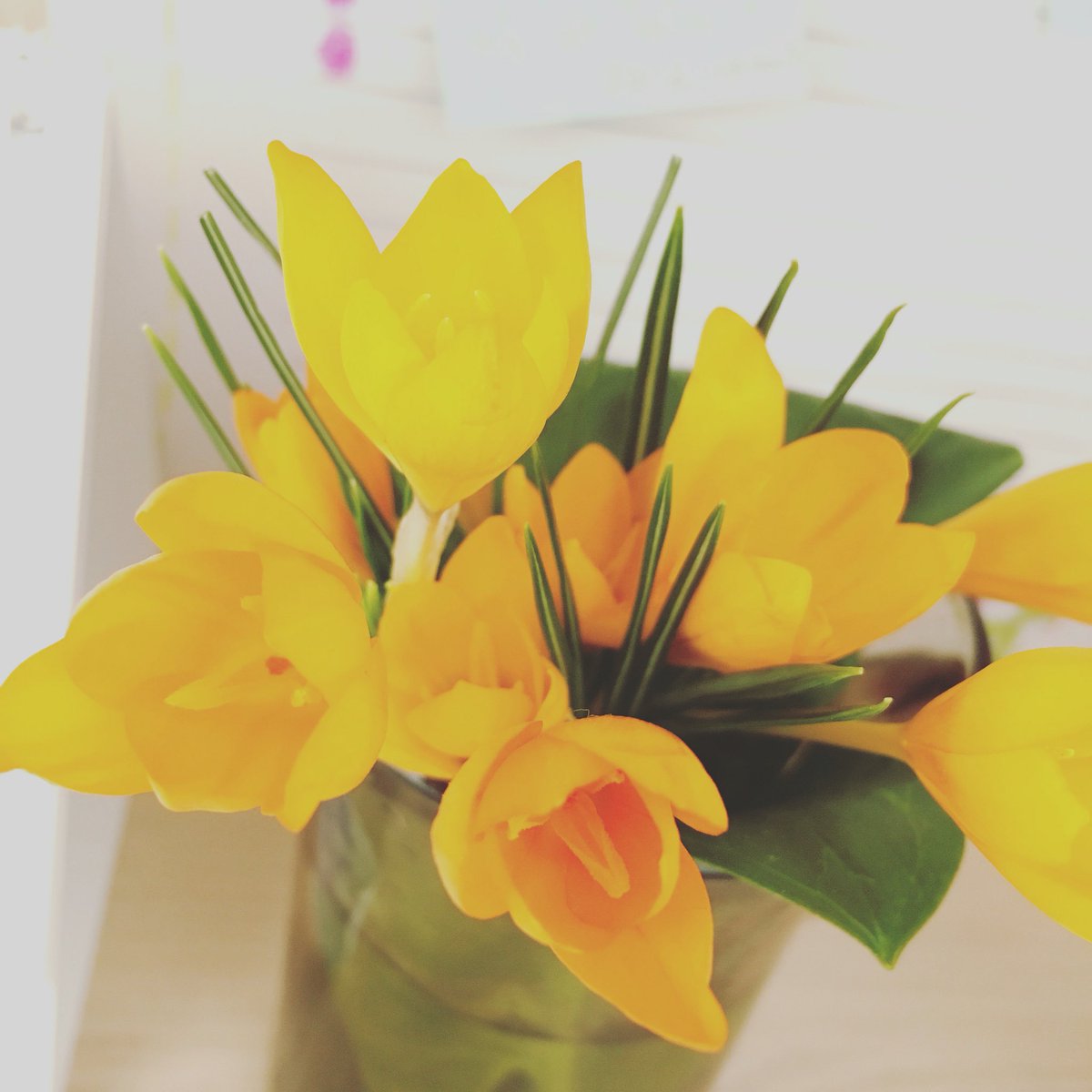OannaAG's tweet photo. Starting the week with positive vibes and a sunny day. ☀️ https://t.co/QwVD9dn950