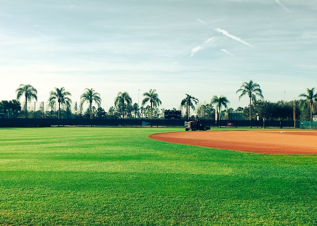 Braves tweet picture