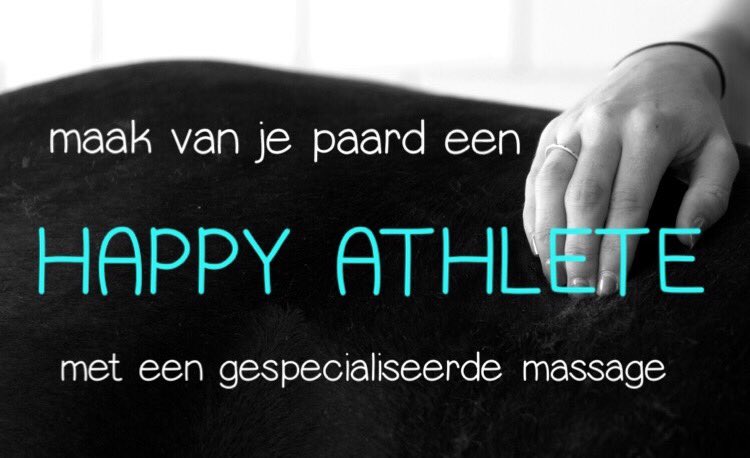 HippiqueSupport tweet picture