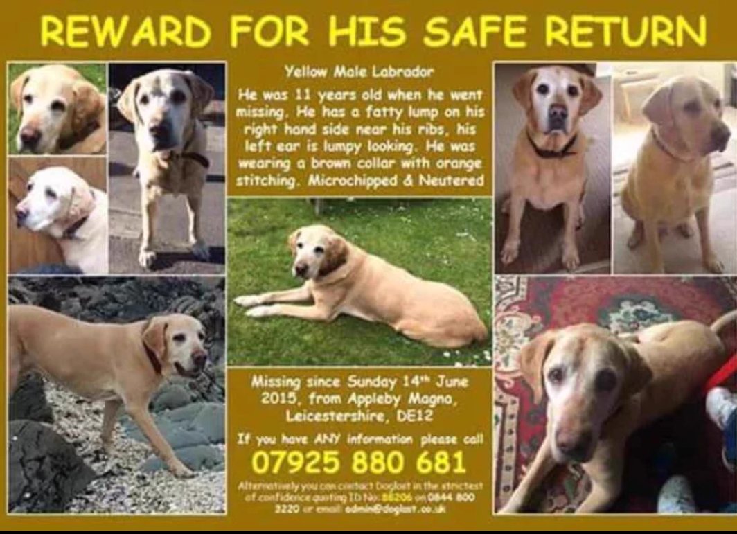 Help Find Buster tweet media