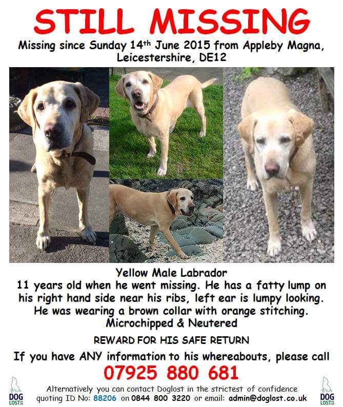 Help Find Buster tweet media