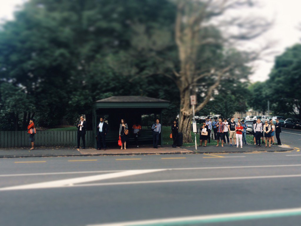nikoelsen's tweet photo. Need a bigger bus stop. @AklTransport #mteden #auckland #fixourcity #busfull https://t.co/F5NKf4YIja