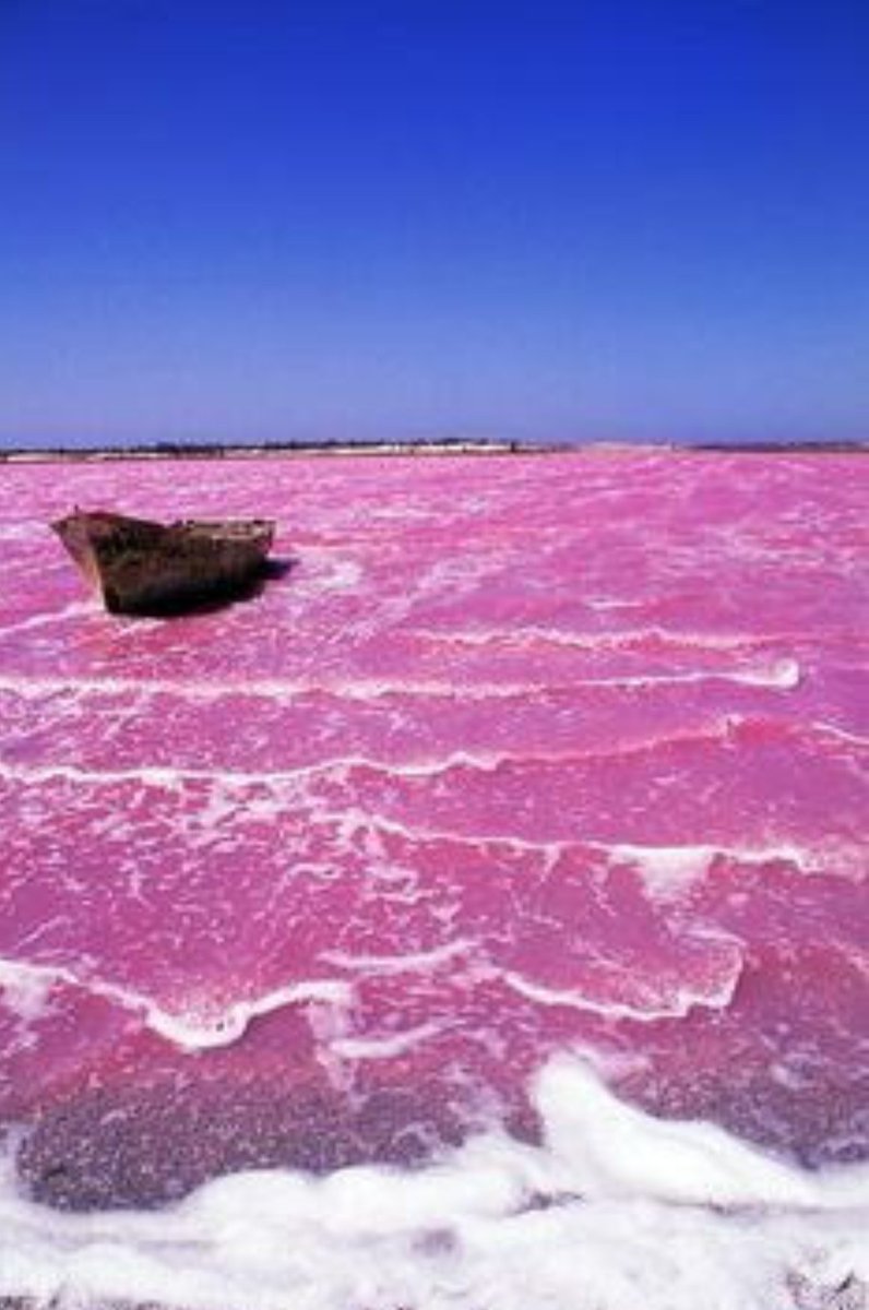 There's a pink-colored Lake in Senegal, Lake Retba (or Lac Rose). Each litre of water has about 380 grams of salt.