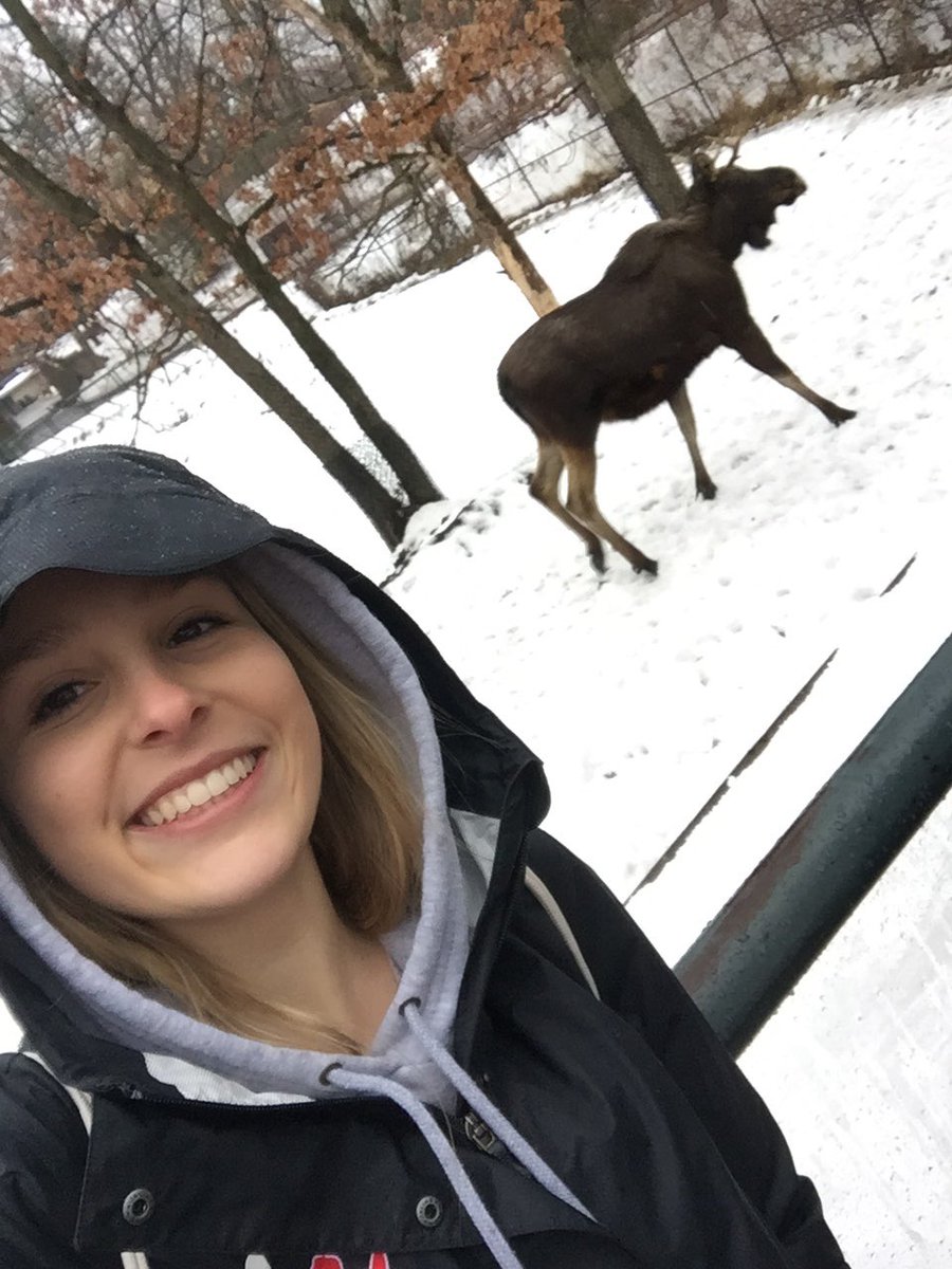 alir322's tweet photo. I learned that a thick coat and long legs help moose survive the cold, snowy winters. #eptpush https://t.co/KswJUl5MG5