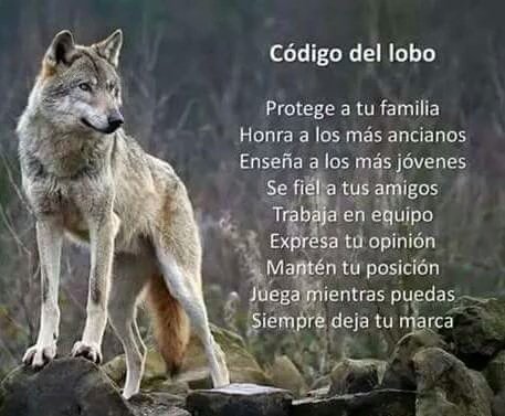 >>>> EL LOBO SOLITARIO <<<< - Página 3 Cb1CU4WWEAAjmDu