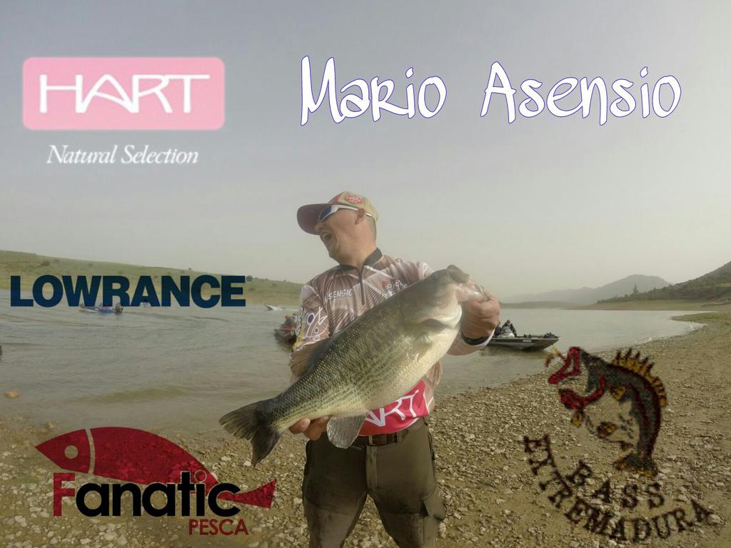 FanaticPesca's tweet photo. Black bass monster español en Garcia Sola . https://t.co/aruRGOgt60