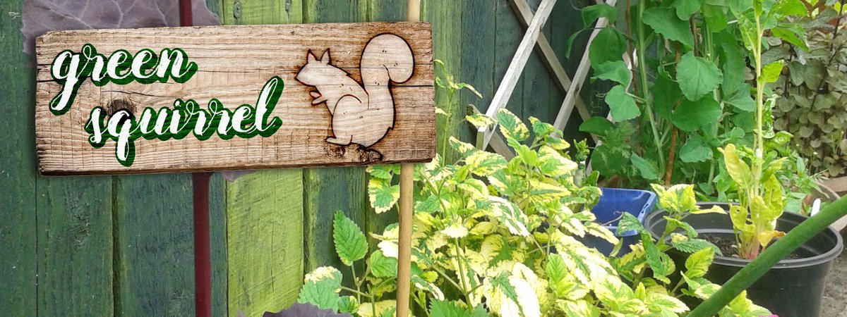 BeMoreSquirrel's tweet photo. Turn even a tiny garden into an edible paradise! #CityCrops wkshop #Cardiff, 16/3 6:30pm Β£10 https://t.co/MafhxPyF4x https://t.co/4hh51CvhL0