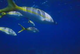 pena_lilia's tweet photo. El Agua es Vida, Desarrollo y Bienestar Social. ¡CUIDALA! No la Malgastes https://t.co/rl3RH5npYG