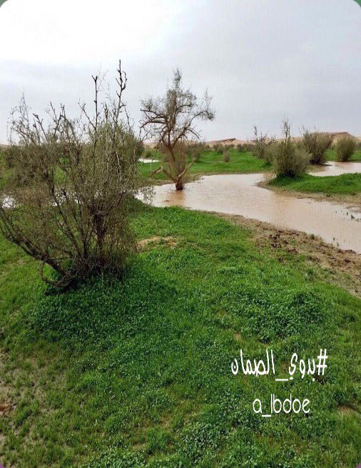 من فياض الصمان ،، ذا السنه
.
#بدوي_الصمان
#الصمان #البل