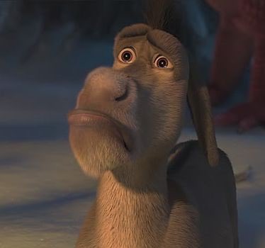 ReeseNelle's tweet photo. How you feel when @IkeRob33 gets mad at you #angrymule https://t.co/WHtMucTtbw