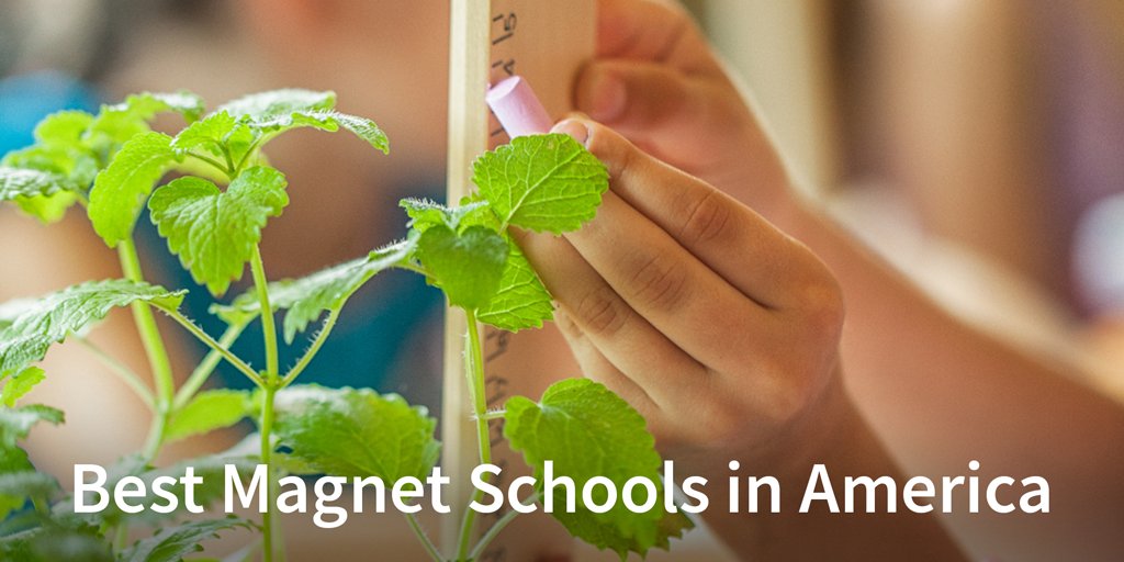 How are your local magnet schools performing? Find out! bit.ly/1oXS3fG