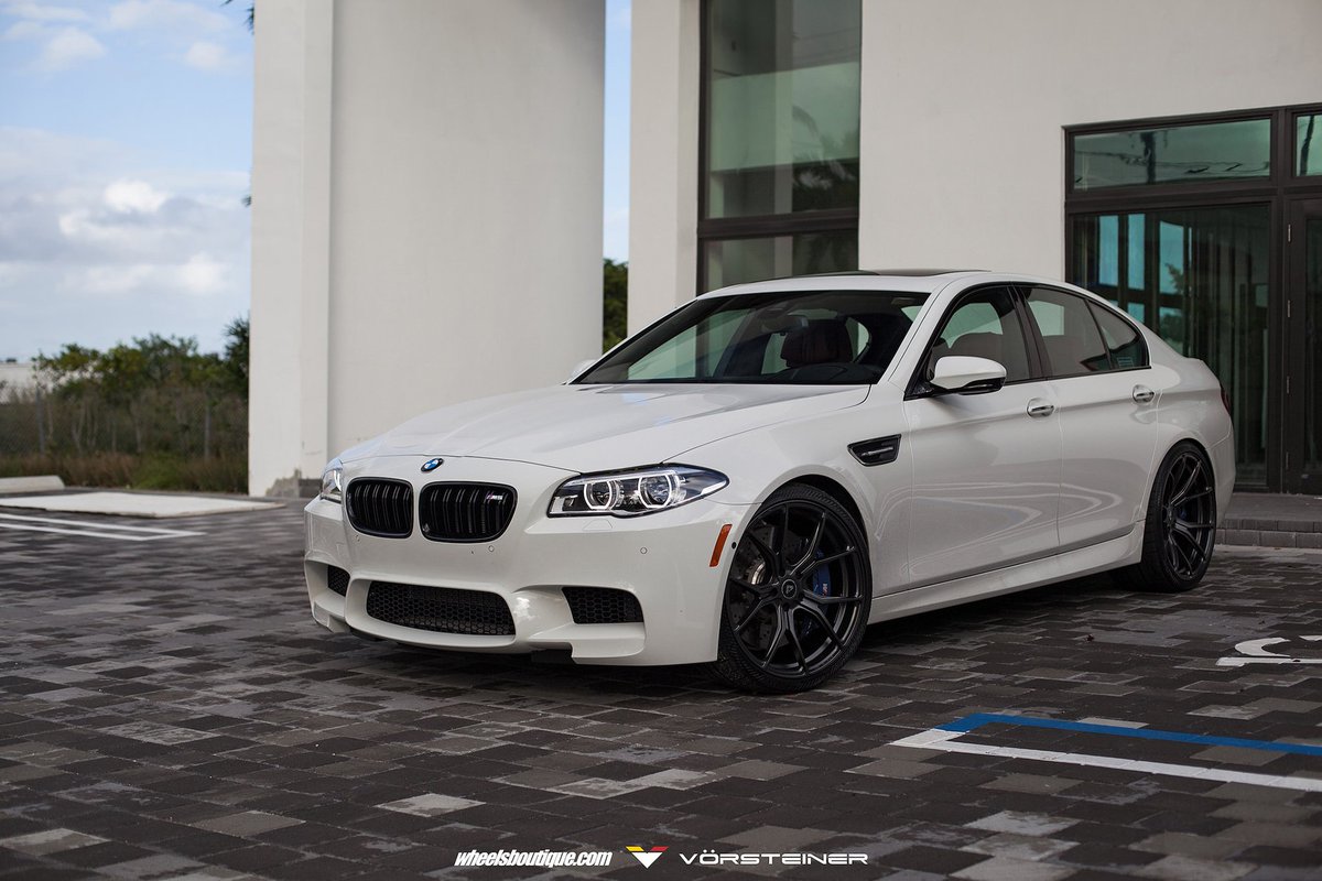 Vorsteiner tweet media