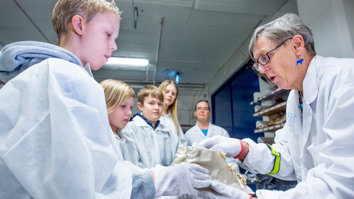 SNnyheter's tweet photo. Museet visar barnen tusenåriga prylar: https://t.co/jnAazm8Z2a https://t.co/H3hFiAul3M