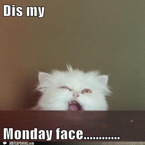 UT_RHA's tweet photo. Hope everyone is having a great Monday! https://t.co/AhfphfL3GU