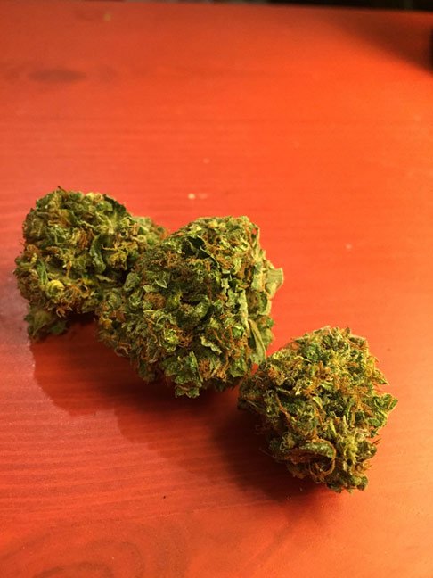highseattle's tweet photo. New marijuana review! >>> https://t.co/47UjyNzc3p >>> #seattle #marijuana #weed #cannabis https://t.co/ZfgtRSCsDx