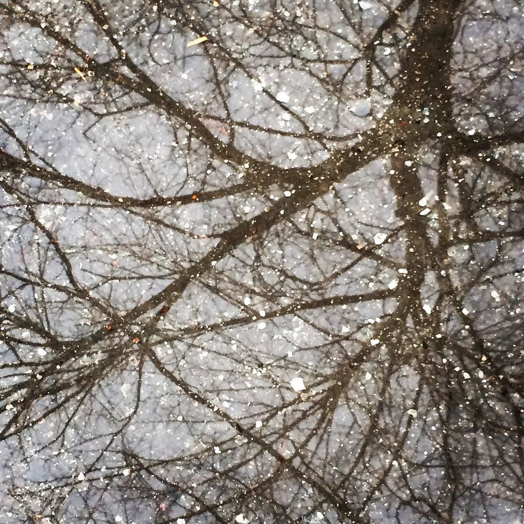 k_eegdro's tweet image. #winterreflections