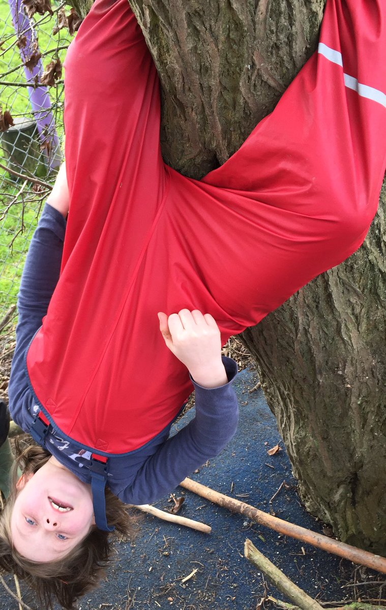 Forest School Fun tweet media