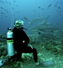 Our very own Lindsay Graff will be giving a shark talk at <a href="/NBNC_VT/">NBNC</a> on March 4!  Details: buff.ly/1oXBPDf