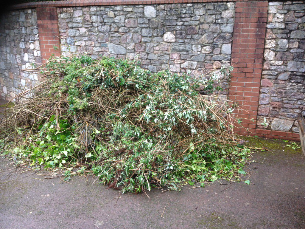 planbdevon's tweet image. Garden waste services garden clearance in Totnes call 
01803 220 382  visit our website     planbdevon.co.uk
