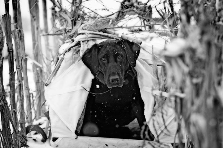 SitkaGear's tweet photo. Call the shot.

Photo: Tribe Member Aron Boyce https://t.co/qzKFYoJu2k