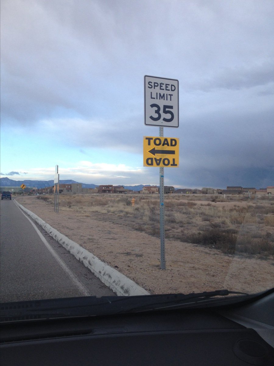 dlicj's tweet photo. me, in car: ah ok this way to see the toad
guy flying upside down really low in airplane: ah ok this way to the toad https://t.co/3PQRKPESLk