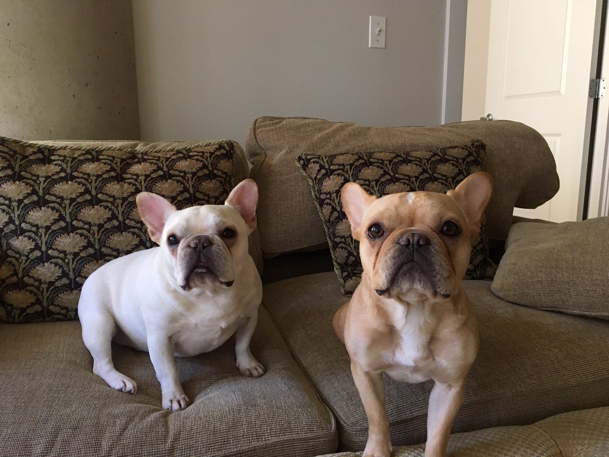 mikefullerton24's tweet photo. @RedSox These two #RedSox fans are now @Astro_DPsDog fans https://t.co/mnJBw7n6kf