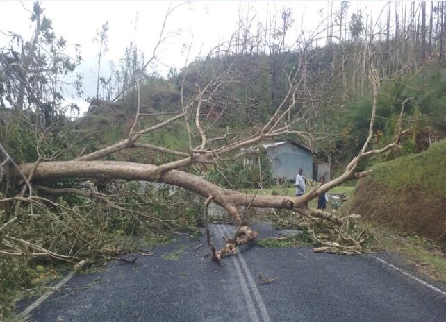 MonishNand's tweet photo. Kings Road after severe #TCWinston went pass.
Photo credit: Fiji Roads Authority.

#TCWinstonAftermath https://t.co/yc3MYlHq24