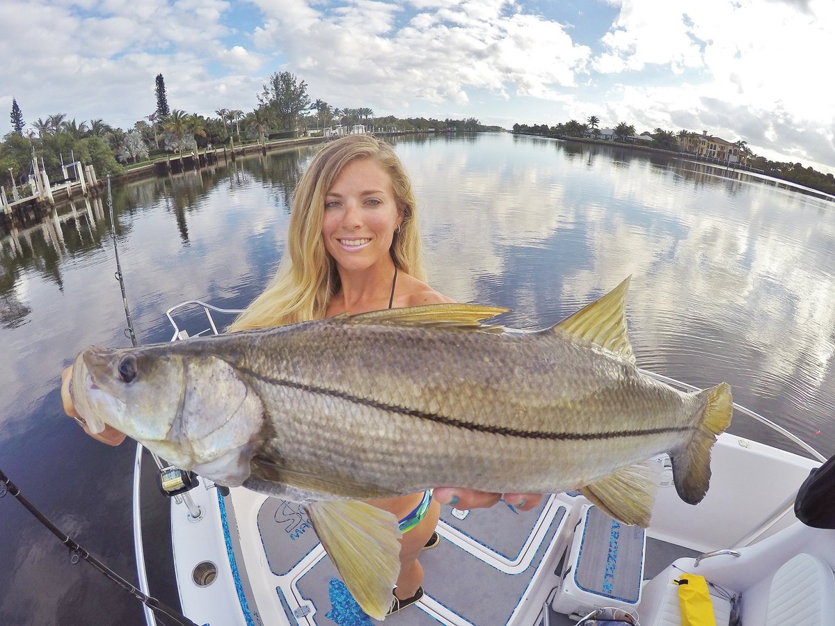 _Darcizzle_'s tweet photo. RETWEET for #gopro #SNOOK Working on my fish eye pics! #fishing @SeaDekTweet https://t.co/oGeIISPEcP