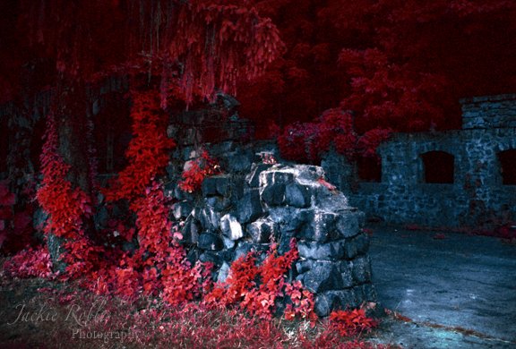 Saucy_Images's tweet photo. Archive: Fairy Fort #012, 2009   #KodakEir #ColorInfraredfilm #Filmphotography https://t.co/0arpJK5Hip