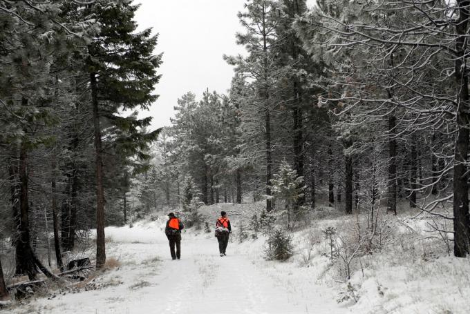 HuntingLocator's tweet photo. Who’s Afraid of the Big Bad Woods?

#Hunting #Hunter #Hunt #HuntingLocator

https://t.co/jyljVo4Bd2 https://t.co/9v2pcAAUq1