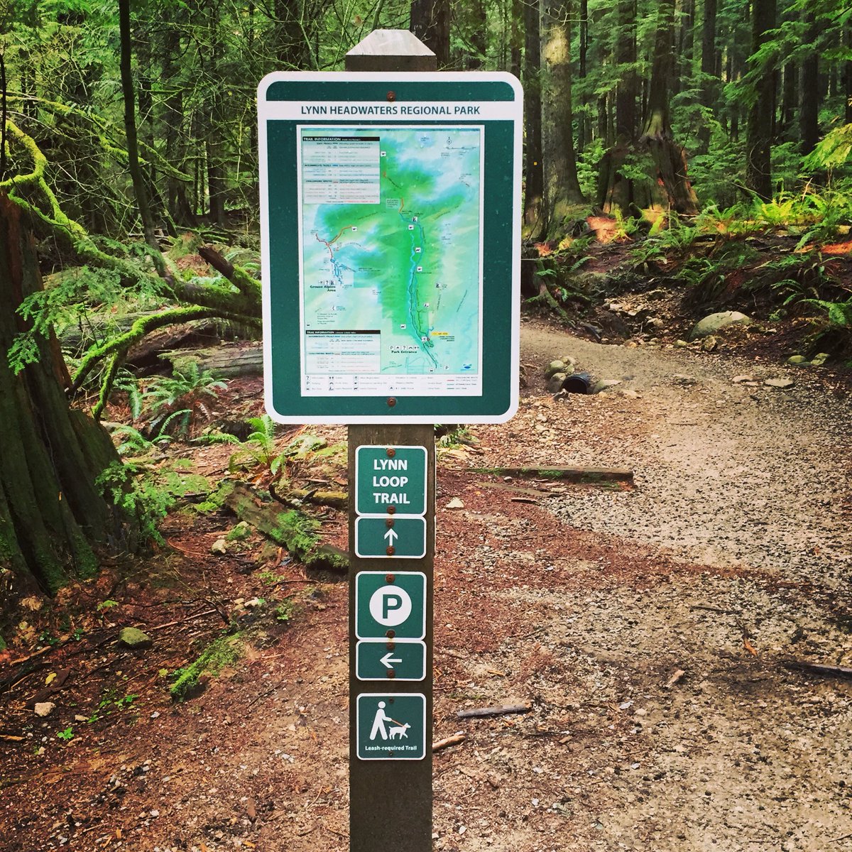 WarnChris's tweet photo. Absolutely gorgeous day for a 10k hike on the North Shore with @bogartcross.  #lynnloophike #explorebc https://t.co/sQ0mX8PmdI
