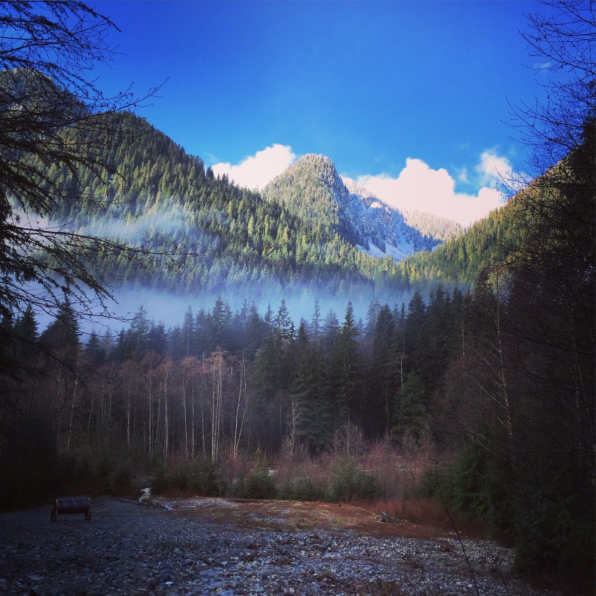 WarnChris's tweet photo. Absolutely gorgeous day for a 10k hike on the North Shore with @bogartcross.  #lynnloophike #explorebc https://t.co/sQ0mX8PmdI